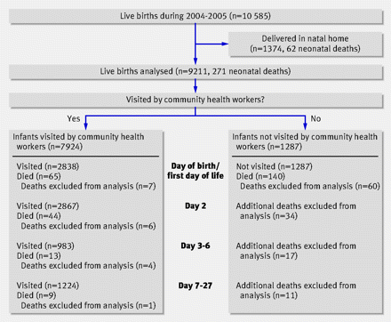 Figure1